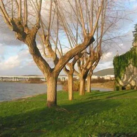 Отель Pazo Da Merced