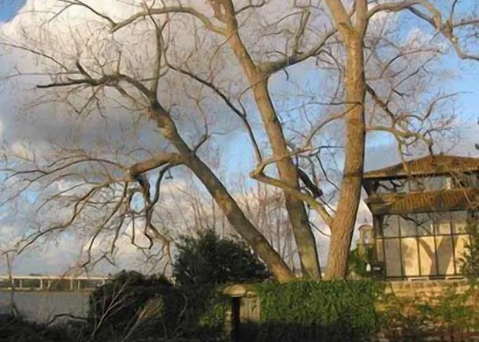 Pazo Da Merced Hotel 3*